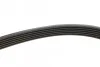 Ремінь генератора VW LT 28-35/28-46 2.8TDI 01-06 MEYLE 050 006 2155 (фото 3)