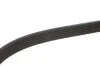 Ремінь генератора MB Sprinter CDI (-AC) (з обводним роликом) (6PK2260) MEYLE 050 006 2260 (фото 3)