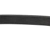 Ремінь генератора Honda CR-V 2.0 01-06/ Kia Sorento 2.5CRDI 02- (7PK1730) MEYLE 050 007 1730 (фото 3)