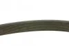 Ремінь генератора Mazda 3/5/6 2.0 DI/CD 02-10 (8PK1226) MEYLE 050 008 1226 (фото 3)