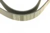Ремінь генератора Mazda 3/5/6 2.0 DI/CD 02-10 (8PK1226) MEYLE 050 008 1226 (фото 4)