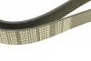 Ремінь генератора Mazda 3/5/6 2.0 DI/CD 02-10 (8PK1226) MEYLE 050 008 1226 (фото 5)