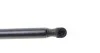 Амортизатор капоту VW Caddy III 04-10/Touran 03-06 MEYLE 1409100066 (фото 5)