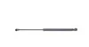 Амортизатор капоту VW Caddy III 04-10/Touran 03-06 MEYLE 1409100066 (фото 6)
