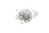 Помпа води Citroen C4-C8/Jumpy 2.0-2.2HDi/Fiat Scudo 2.0D/Ford Focus 2.0TDCI 01- (19z) MEYLE 513 220 0002 (фото 4)