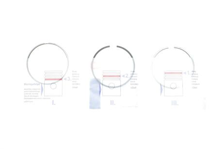 Кільця поршневі Volvo S60/S80/V60/V90/XC40/XC60/XC70/XC90 2.0D 13- (82.00mm/STD) (2-1.75-2) NPR 120 051 0025 00