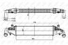 Интеркулер NRF 30364 (фото 5)