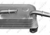 Радіатор масляний BMW 5 (E39) 3.5 96-03 (теплообмінник) NRF 31189 (фото 2)