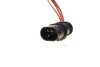 Вентилятор радіатора Mini Cooper/One 1.6 01-06 (з дифузором) NRF 47301 (фото 10)