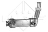 Радіатор рециркуляції ВГ BMW 3 (E90/E91)/5 (E60/E61) 04-10 (N47/N57) NRF 48001 (фото 3)