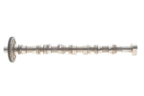 Розподільний вал Audi A4/A6/A8/Q5 2.0 TFSI 08-17 (OE VAG) OEM 06H109022BJ