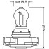 Лампа накаливания PSX24W 12V 24W OSRAM 2504 (фото 2)