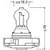 Лампа накаливания PSX24W 12V 24W OSRAM 2504 (фото 2)