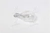 Лампа 16W 12V W2,1X9,5D 5XFS10 L OSRAM 921 (фото 3)
