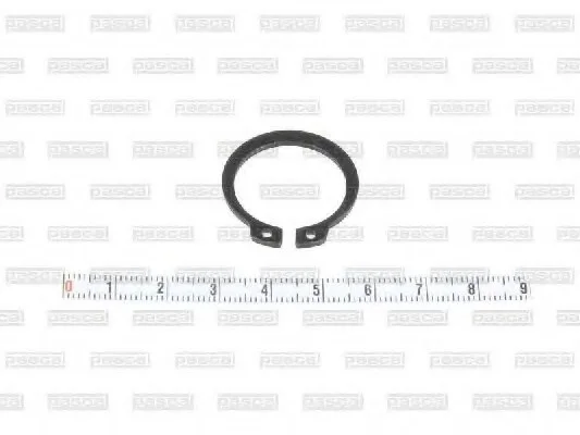 Кольцо стопорное PASCAL CIR G7W01PC (фото 1)