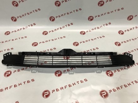 Решетка переднего бампера Tesla Model 3 1085927-00-C PERFEKTES 131-TSM3-2700C-00