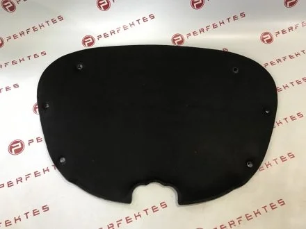 Обшивка капота Tesla Model 3 0000021-00-T PERFEKTES 211-TSM3-2100T-00