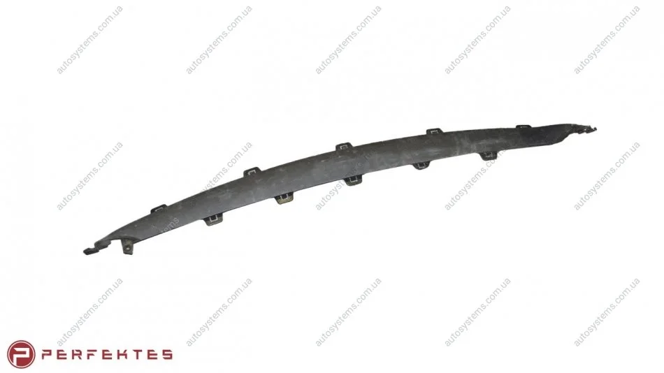 Накладка верхней решетки переднего бампера Tesla Model X 1047360-00-G PERFEKTES 354-TSMX-6000G-00 (фото 1)
