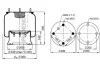 Ресора пневматическая PHOENIX 1D28A-2 (фото 1)