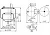 Ресора пневматическая PHOENIX 1DF20E-1 (фото 1)