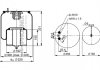 Ресора пневматическая PHOENIX 1DF22C-1 (фото 1)