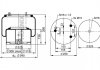 Ресора пневматическая PHOENIX 1DF25-11 (фото 1)