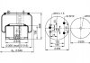 Ресора пневматична PHOENIX 1DF25-13 (фото 1)
