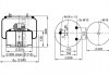 Ресора пневматическая PHOENIX 1DF25-15 (фото 1)