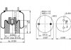 4157NP05 Пневмоподушка причепа FRUEHAUF ресора пневматична (з пластиковим стаканом) PHOENIX 1DK21A-31 (фото 2)