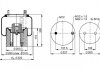 Ресора пневматическая PHOENIX 1DK21A-3 (фото 1)