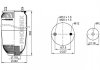 Ресора пневматична PHOENIX 1DK21B-5NP (фото 1)