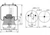 Ресора пневматическая PHOENIX 1DK22E-11 (фото 1)