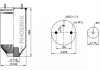 Ресора пневматична PHOENIX 1DK22E-5NP (фото 1)