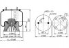 Ресора пневматическая PHOENIX 1DK22E-8 (фото 1)