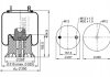 Ресора пневматична PHOENIX 1DK23L-9131 (фото 1)