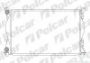 Радиатор охлаждения двигателя Polcar 133808-5 (фото 1)