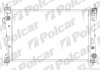 Радиатор охлаждения двигателя Polcar 142108-2 (фото 1)