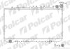 Радиатор охлаждения двигателя Polcar 272908-2 (фото 1)