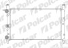 Радиатор охлаждения двигателя Polcar 301608-1 (фото 1)
