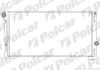 Радиатор охлаждения двигателя Polcar 3023083X (фото 1)