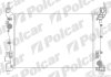 Радиатор охлаждения двигателя Polcar 302508-1 (фото 1)