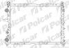 Радиатор охлаждения двигателя Polcar 302608A5 (фото 1)
