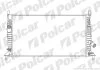 Радиатор охлаждения двигателя Polcar 320208-2 (фото 1)