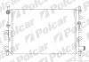 Радиатор охлаждения двигателя Polcar 320608A5 (фото 1)