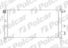 Радиатор охлаждения Polcar 321008A6 (фото 1)