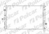 Радиатор охлаждения двигателя Polcar 321808-3 (фото 1)