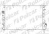 Радиатор охлаждения двигателя Polcar 321808-4 (фото 1)