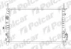 Радиатор охлаждения двигателя Polcar 321808-5 (фото 1)