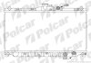 Радиатор охлаждения двигателя Polcar 381608-4 (фото 1)