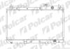 Радиатор охлаждения двигателя Polcar 387508-2 (фото 1)